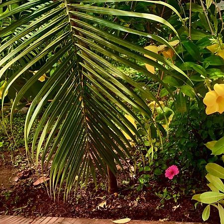 Stan-Inn, North Goa, Vagator, With Strong Wifi,Free Private Parking & Kitchen, Can Cook Where You Stay Bagian luar foto
