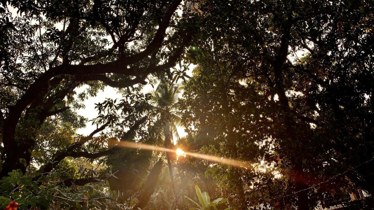 Stan-Inn, North Goa, Vagator, With Strong Wifi,Free Private Parking & Kitchen, Can Cook Where You Stay Bagian luar foto