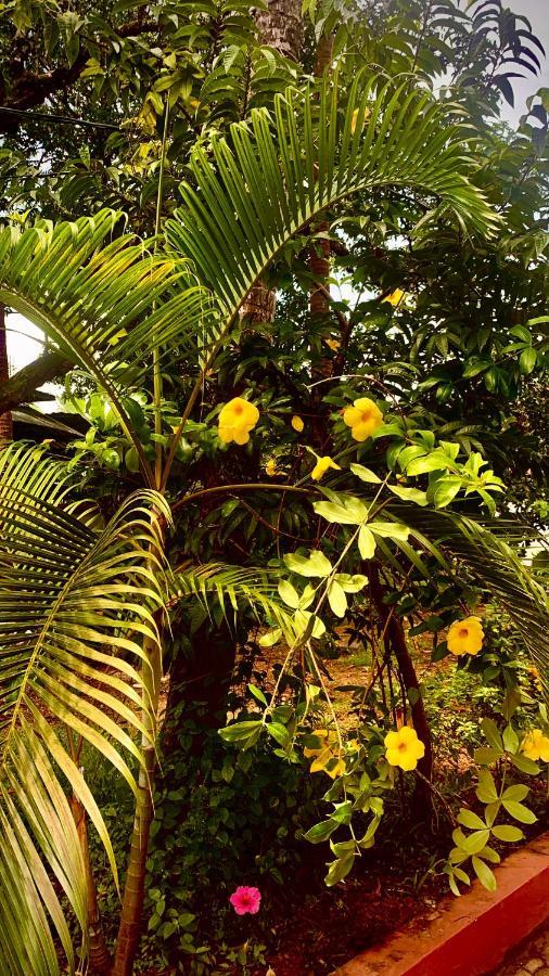 Stan-Inn, North Goa, Vagator, With Strong Wifi,Free Private Parking & Kitchen, Can Cook Where You Stay Bagian luar foto